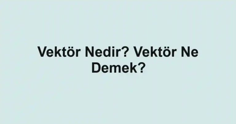 Vektör Nedir? Vektör Ne Demek?