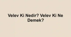 Velev Ki Nedir? Velev Ki Ne Demek?