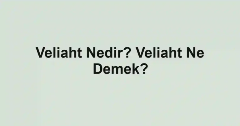 Veliaht Nedir? Veliaht Ne Demek?