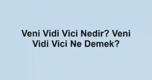 Veni Vidi Vici Nedir? Veni Vidi Vici Ne Demek?