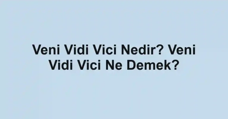Veni Vidi Vici Nedir? Veni Vidi Vici Ne Demek?