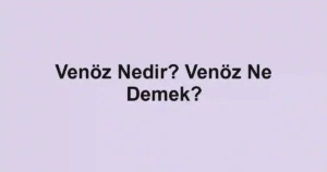 Venöz Nedir? Venöz Ne Demek?