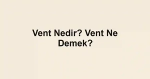 Vent Nedir? Vent Ne Demek?
