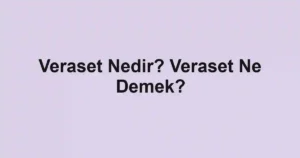 Veraset Nedir? Veraset Ne Demek?