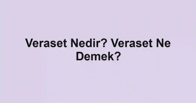 Veraset Nedir? Veraset Ne Demek?