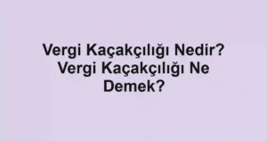 Vergi Kaçakçılığı Nedir? Vergi Kaçakçılığı Ne Demek?