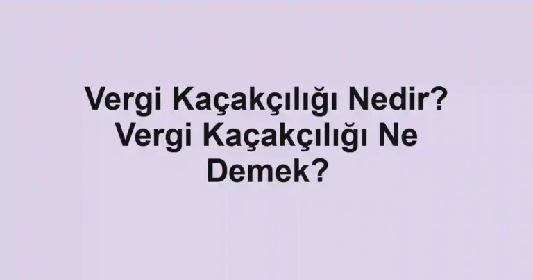 Vergi Kaçakçılığı Nedir? Vergi Kaçakçılığı Ne Demek?