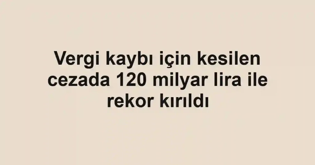 Vergi kaybı için kesilen cezada 120 milyar lira ile rekor kırıldı