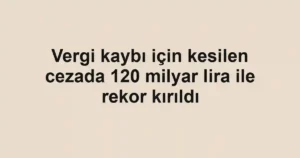 Vergi kaybı için kesilen cezada 120 milyar lira ile rekor kırıldı