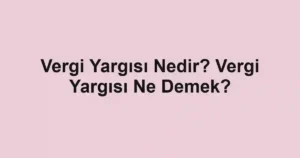 Vergi Yargısı Nedir? Vergi Yargısı Ne Demek?