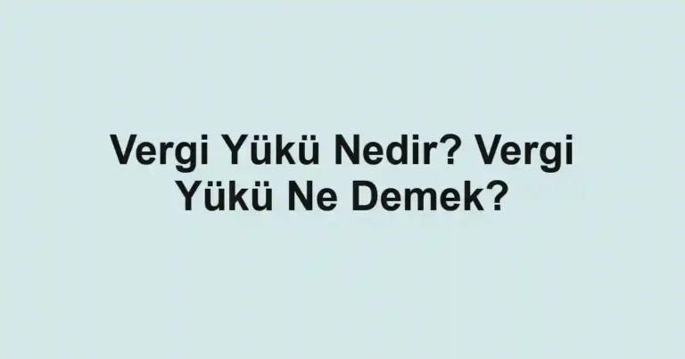 Vergi Yükü Nedir? Vergi Yükü Ne Demek?