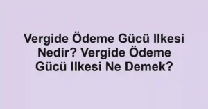 Vergide Ödeme Gücü Ilkesi Nedir? Vergide Ödeme Gücü Ilkesi Ne Demek?