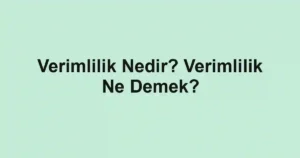 Verimlilik Nedir? Verimlilik Ne Demek?