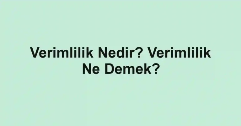 Verimlilik Nedir? Verimlilik Ne Demek?