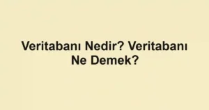 Veritabanı Nedir? Veritabanı Ne Demek?