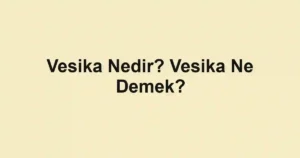 Vesika Nedir? Vesika Ne Demek?