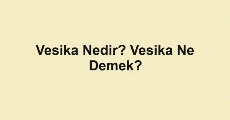 Vesika Nedir? Vesika Ne Demek?