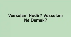 Vesselam Nedir? Vesselam Ne Demek?
