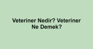 Veteriner Nedir? Veteriner Ne Demek?