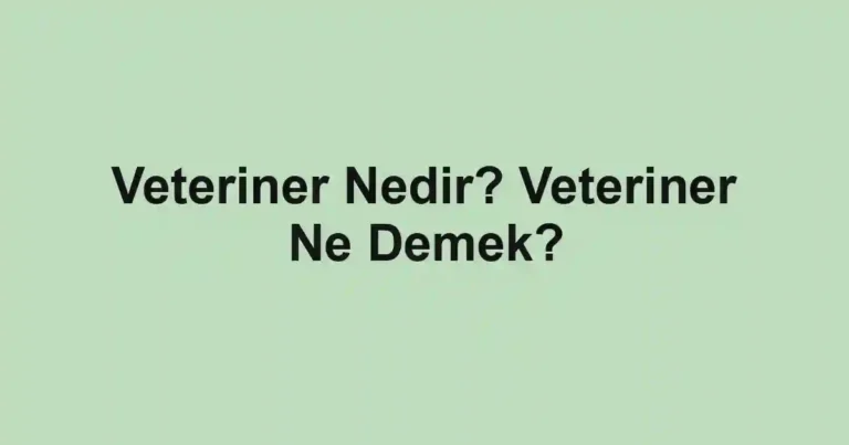 Veteriner Nedir? Veteriner Ne Demek?