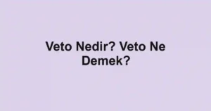 Veto Nedir? Veto Ne Demek?