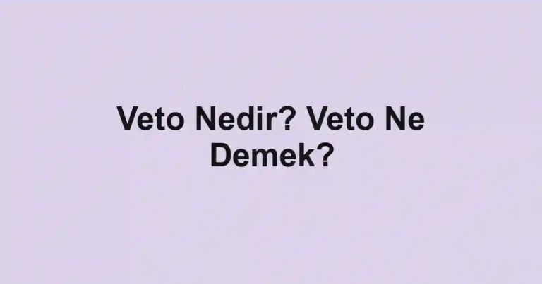 Veto Nedir? Veto Ne Demek?