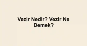 Vezir Nedir? Vezir Ne Demek?