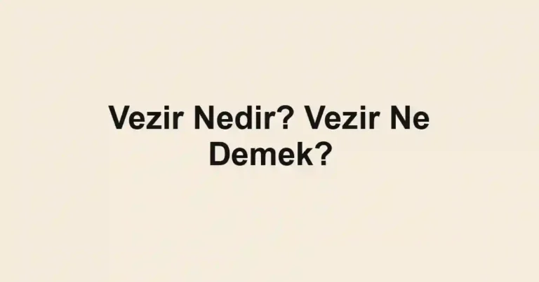 Vezir Nedir? Vezir Ne Demek?