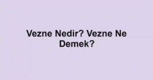 Vezne Nedir? Vezne Ne Demek?