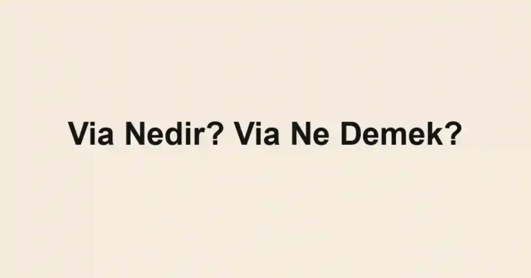 Via Nedir? Via Ne Demek?