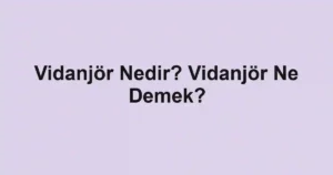 Vidanjör Nedir? Vidanjör Ne Demek?