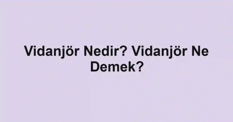Vidanjör Nedir? Vidanjör Ne Demek?