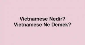 Vietnamese Nedir? Vietnamese Ne Demek?