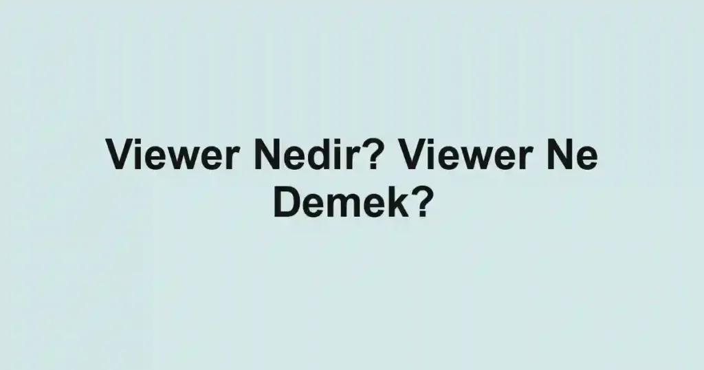 Viewer Nedir? Viewer Ne Demek?