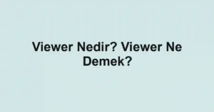 Viewer Nedir? Viewer Ne Demek?