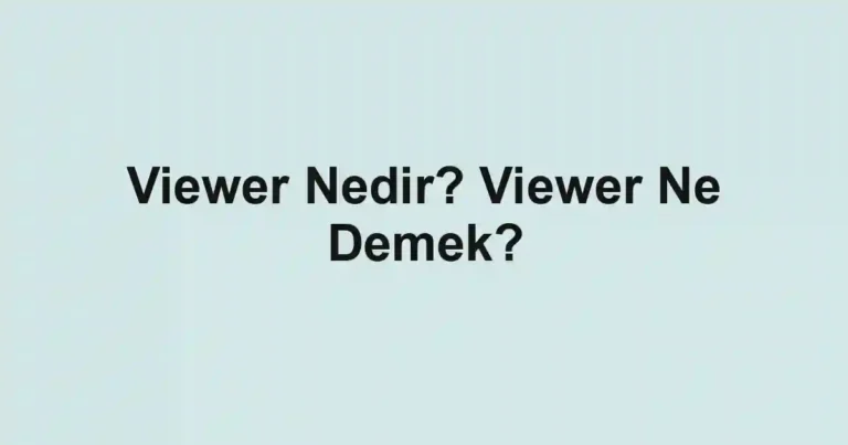 Viewer Nedir? Viewer Ne Demek?