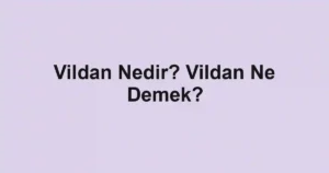 Vildan Nedir? Vildan Ne Demek?