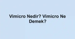Vimicro Nedir? Vimicro Ne Demek?