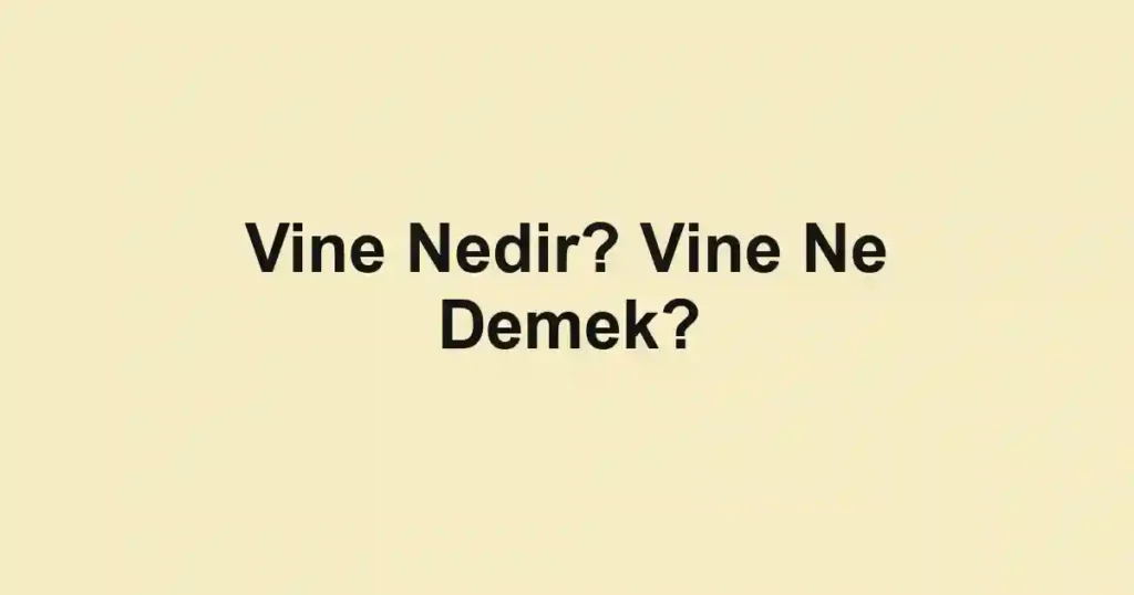Vine Nedir? Vine Ne Demek?
