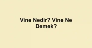 Vine Nedir? Vine Ne Demek?