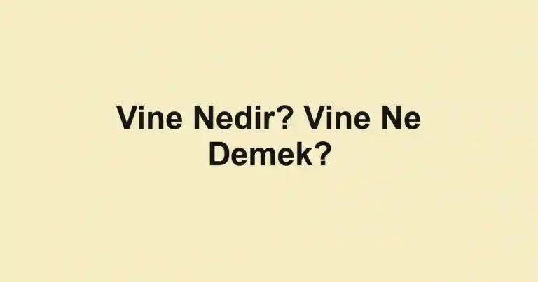 Vine Nedir? Vine Ne Demek?