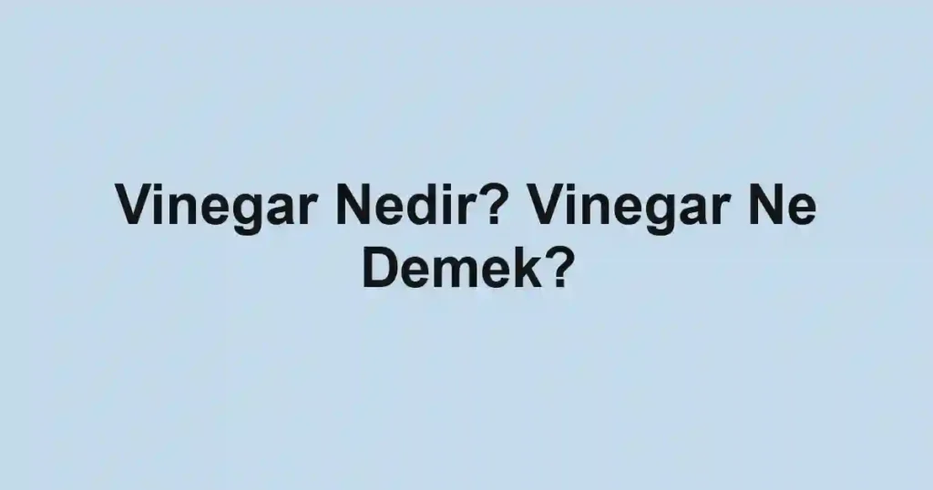 Vinegar Nedir? Vinegar Ne Demek?