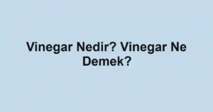 Vinegar Nedir? Vinegar Ne Demek?