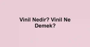Vinil Nedir? Vinil Ne Demek?
