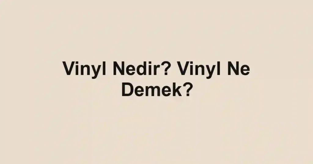 Vinyl Nedir? Vinyl Ne Demek?