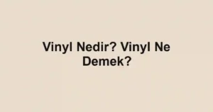 Vinyl Nedir? Vinyl Ne Demek?