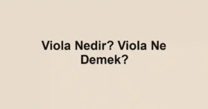Viola Nedir? Viola Ne Demek?