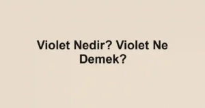 Violet Nedir? Violet Ne Demek?