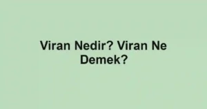 Viran Nedir? Viran Ne Demek?