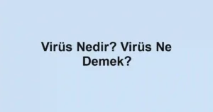 Virüs Nedir? Virüs Ne Demek?